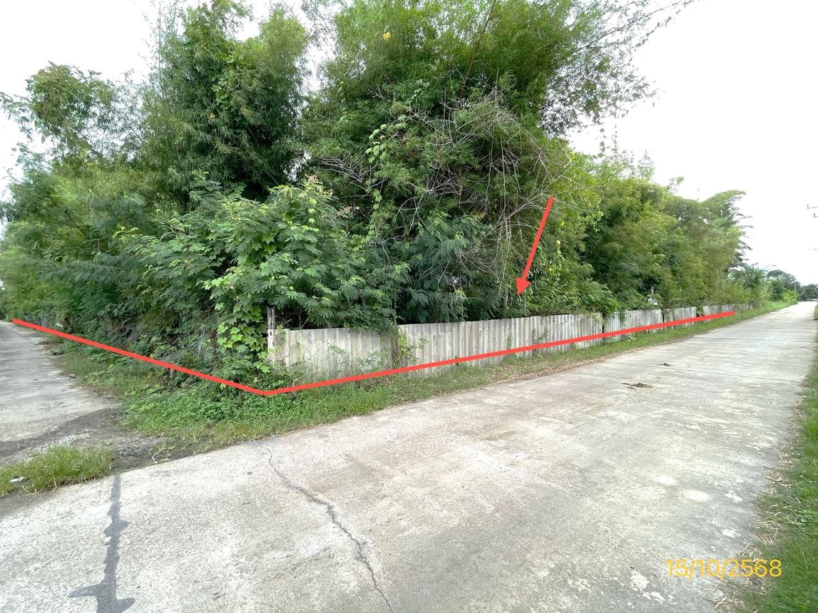ขายที่ดินว่างเปล่า จอมบึง ราชบุรี แปลงใหญ่ 61.1 ไร่ ทำเลดี เหมาะลงทุนหรือทำเกษตร ราคา 5.04 ล้าน
