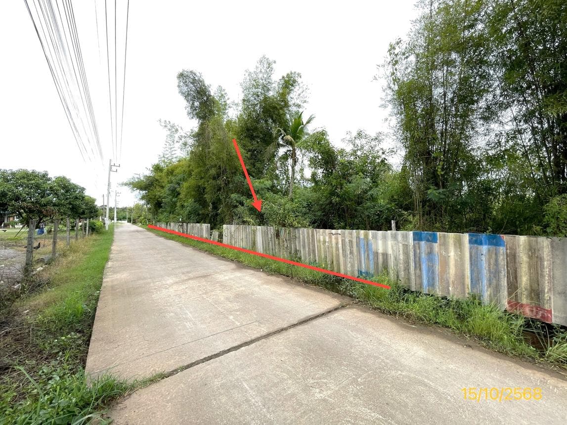 ขายที่ดินว่างเปล่า จอมบึง ราชบุรี แปลงใหญ่ 61.1 ไร่ ทำเลดี เหมาะลงทุนหรือทำเกษตร ราคา 5.04 ล้าน