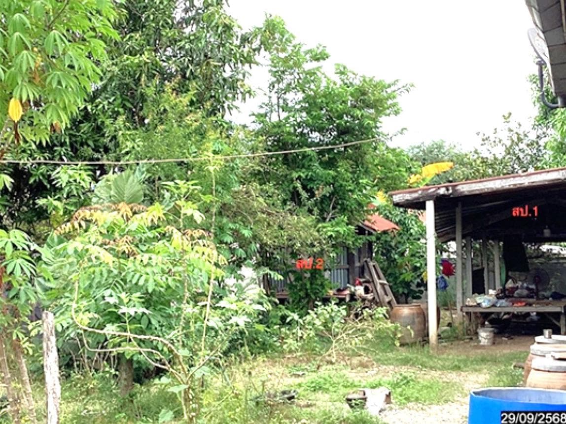 ขายบ้านเดี่ยวชั้นเดียว พื้นที่กว้าง 91.5 ตร.ว. อ.เอราวัณ จ.เลย 1 ห้องนอน 2 ห้องน้ำ พื้นที่ใช้สอย 159 ตร.ม. บรรยากาศร่มรื่น ราคาล้านต้นๆ