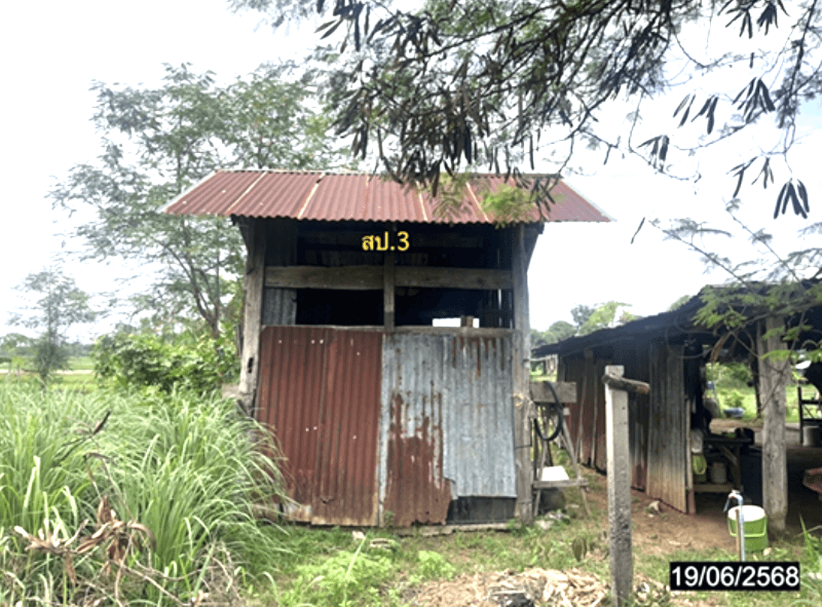 บ้านเดี่ยว แพง โกสุมพิสัย มหาสารคาม 1 ห้องนอน 2 ห้องน้ำ พื้นที่ใช้สอย 144 ตร.ม. ทำเลสงบเดินทางสะดวก ราคาพิเศษ 1.36 ล้าน