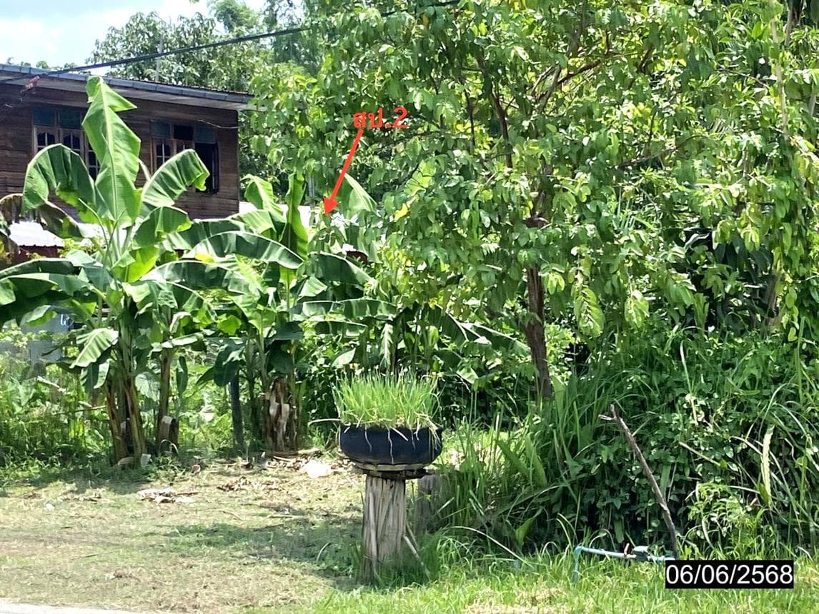 บ้านเดี่ยว พื้นที่ 304 ตร.ม. ทำเลศักยภาพ นาด่าน สุวรรณคูหา หนองบัวลำภู