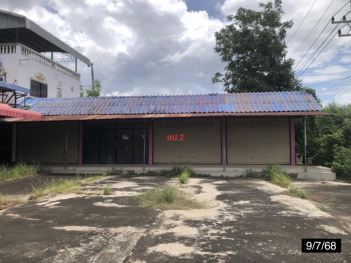 บ้านเดี่ยว บ้านบัว เกษตรสมบูรณ์ ชัยภูมิ พื้นที่ 99 ตร.ว. พื้นที่ใช้สอย 241.75 ตร.ม. 3 ห้องนอน 2 ห้องน้ำ