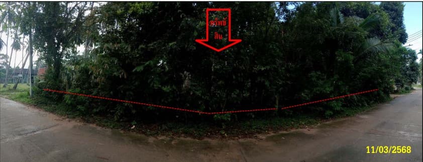 ที่ดินเปล่า เกาะสมุย สุราษฎร์ธานี