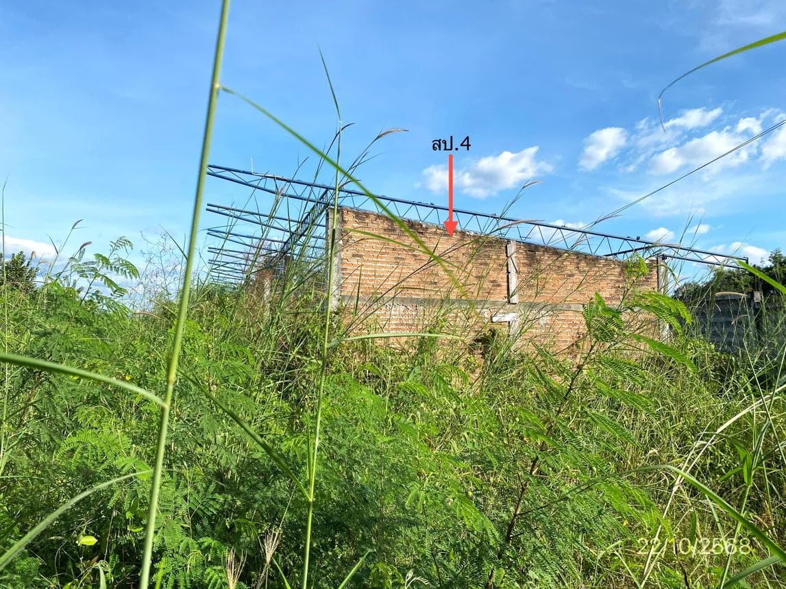 บ้านเดี่ยว หนองอิรุณ บ้านบึง ชลบุรี 2 ห้องนอน 1 ห้องน้ำ พื้นที่ใช้สอยกว้างขวาง 200 ตร.ม. บนที่ดิน 19 ตร.ว. ทำเลสงบ เดินทางสะดวก ราคาพิเศษ 6.12 ล้าน
