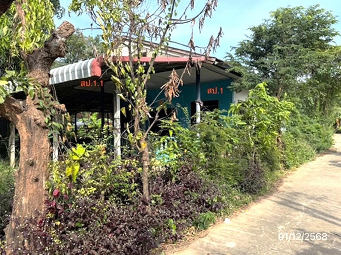 ขายบ้านเดี่ยวชั้นเดียว พื้นที่กว้าง 78 ตร.ว. อ.เมืองยโสธร 2 ห้องนอน 2 ห้องน้ำ พื้นที่ใช้สอยเยอะ บรรยากาศร่มรื่น ราคาคุ้มค่า