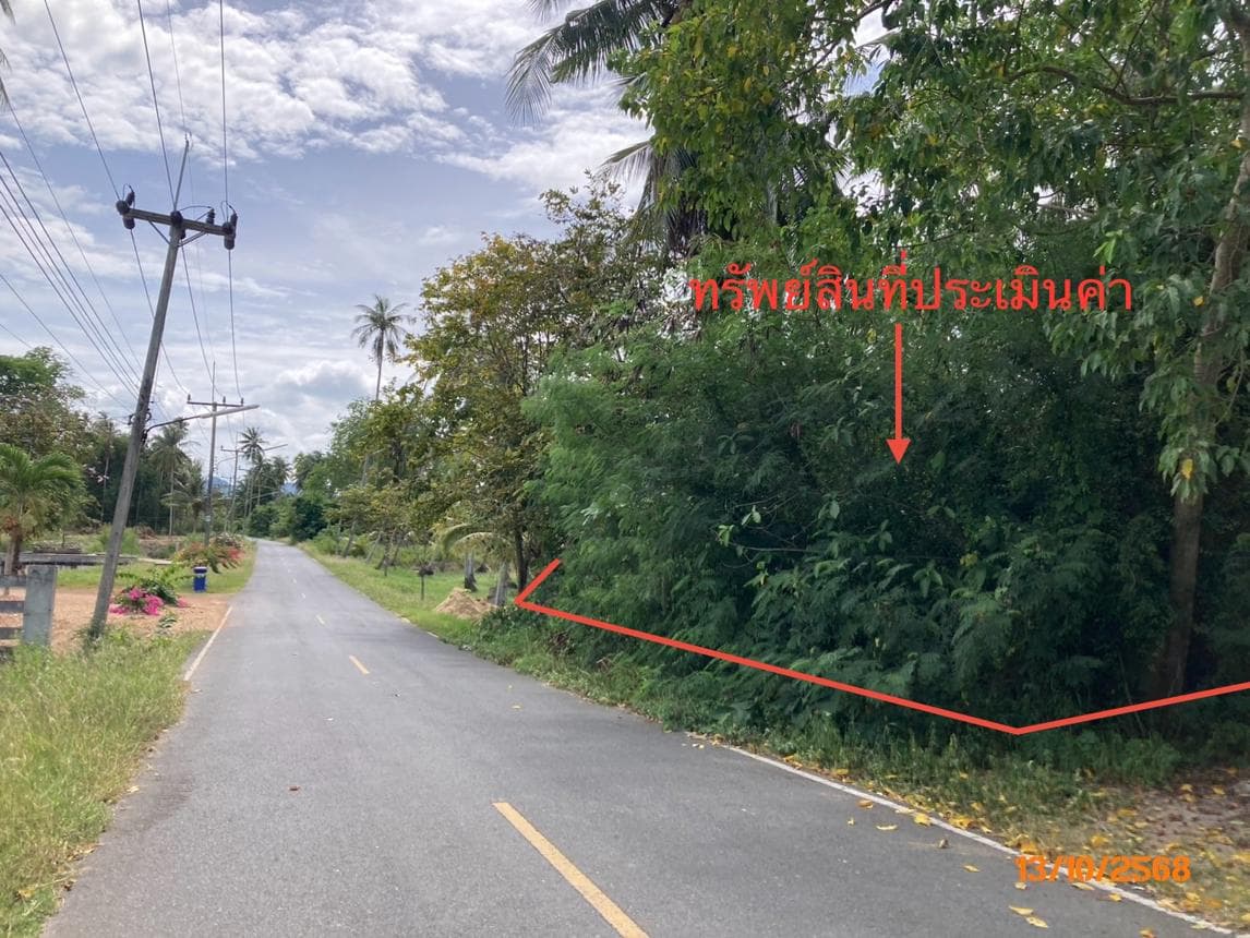 ที่ดินว่างเปล่า ดอนสัก สุราษฎร์ธานี เนื้อที่ 73 ตร.ว. ทำเลศักยภาพใกล้แหล่งท่องเที่ยวและจุดเชื่อมต่อท่าเรือสำคัญ เดินทางสะดวก ราคาพิเศษ 1.29 ล้าน