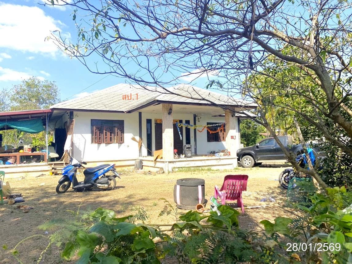 ขายบ้านเดี่ยว หนองเรือ นาเชือก มหาสารคาม พื้นที่ 96 ตร.ว. พื้นที่ใช้สอย 181 ตร.ม.