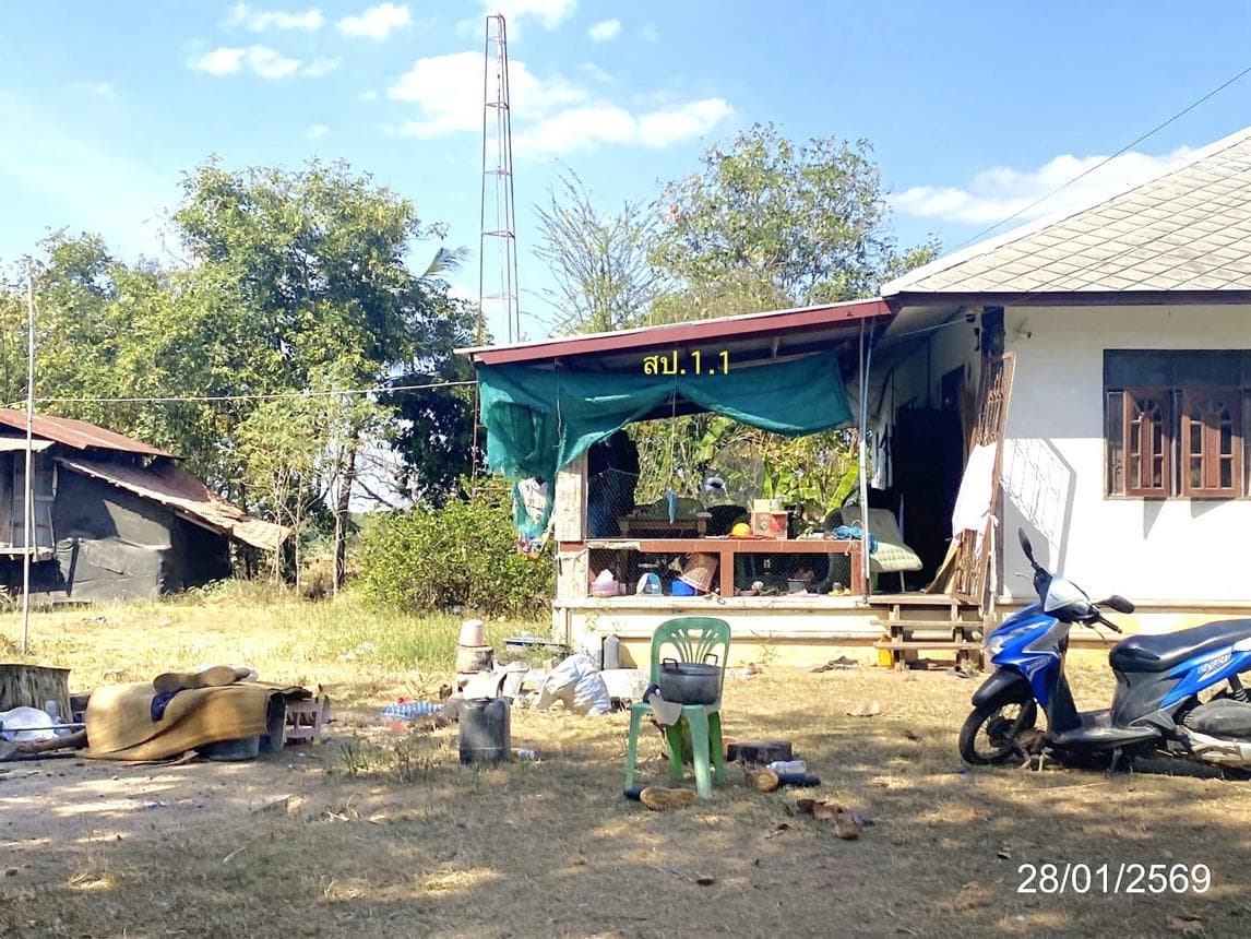 ขายบ้านเดี่ยว หนองเรือ นาเชือก มหาสารคาม พื้นที่ 96 ตร.ว. พื้นที่ใช้สอย 181 ตร.ม.