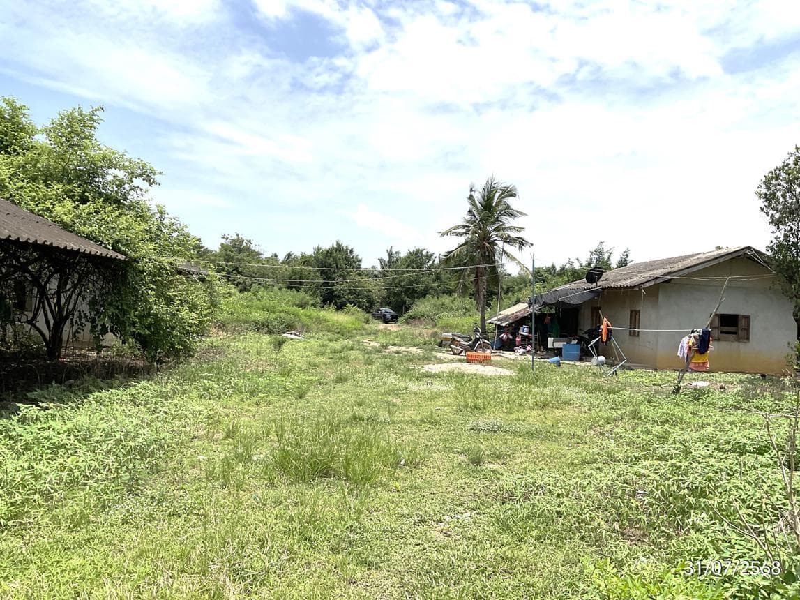 บ้านเดี่ยว หนองแหน พนมสารคาม ฉะเชิงเทรา 3 ห้องนอน 2 ห้องน้ำ พื้นที่ใช้สอย 209 ตร.ม. บนที่ดินกว้างขวาง 78 ตร.ว. ทำเลศักยภาพบรรยากาศดี ราคาพิเศษ 5.8 ล้าน