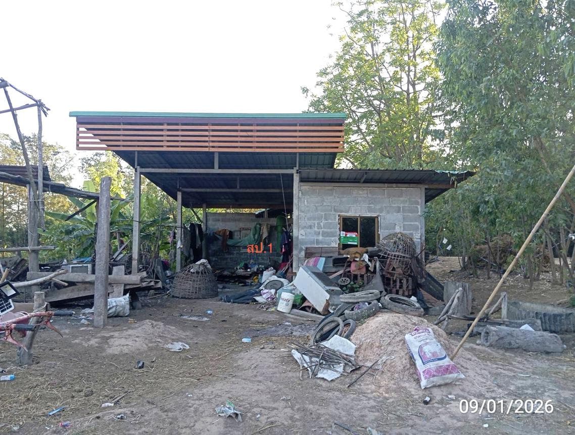 บ้านเดี่ยว ตรวจ ศรีณรงค์ สุรินทร์ 1 ห้องนอน พื้นที่ 56 ตร.ม. บนที่ดิน 31.7 ตร.ว. ทำเลสงบ บรรยากาศเป็นกันเอง ราคาไม่ถึงห้าแสน