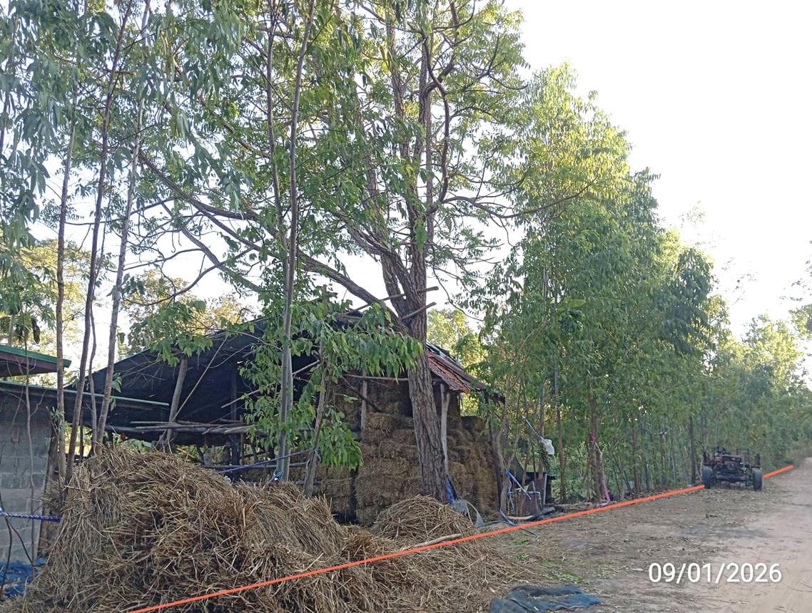 บ้านเดี่ยว ตรวจ ศรีณรงค์ สุรินทร์ 1 ห้องนอน พื้นที่ 56 ตร.ม. บนที่ดิน 31.7 ตร.ว. ทำเลสงบ บรรยากาศเป็นกันเอง ราคาไม่ถึงห้าแสน