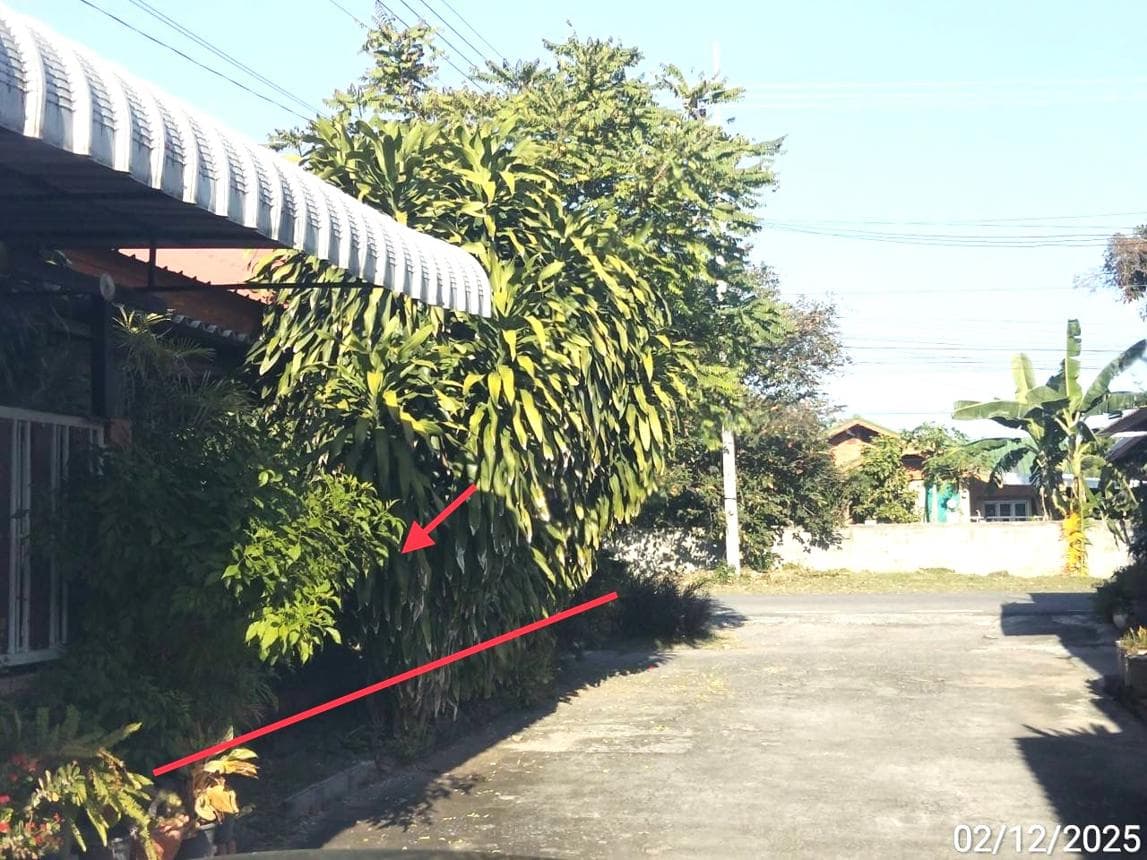 บ้านเดี่ยว โพธิ์กลาง เมืองนครราชสีมา 3 ห้องนอน พื้นที่ใช้สอย 158 ตร.ม. ทำเลดี ราคาคุ้มค่าที่สุดในโซน