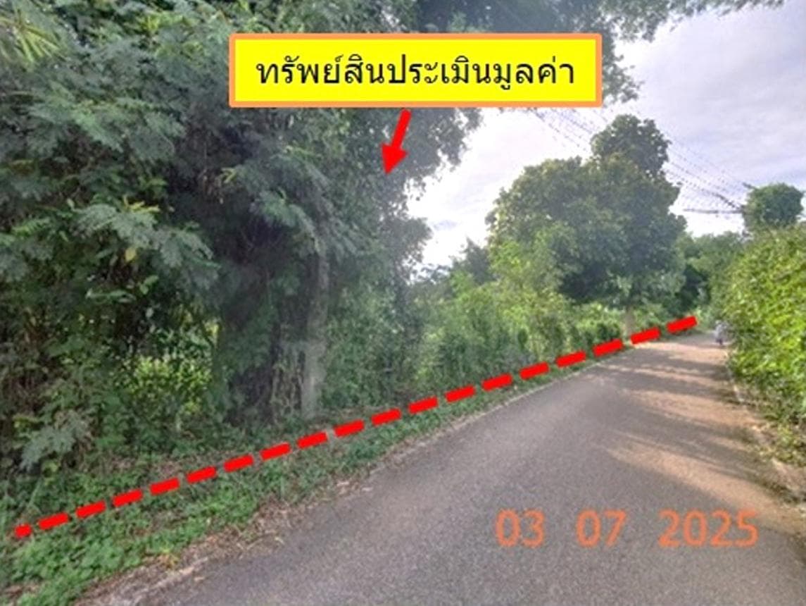 ที่ดินว่างเปล่า หนองหาร สันทราย เชียงใหม่ ทำเลศักยภาพใกล้แหล่งชุมชนและสถานศึกษา เหมาะสำหรับพัฒนาโครงการหรือลงทุน ราคาคุ้มค่า