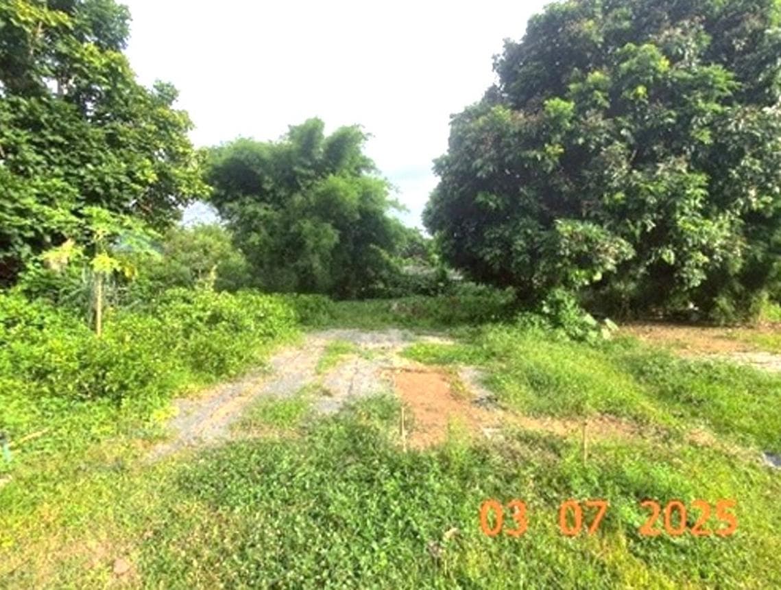 ที่ดินว่างเปล่า หนองหาร สันทราย เชียงใหม่ ทำเลศักยภาพใกล้แหล่งชุมชนและสถานศึกษา เหมาะสำหรับพัฒนาโครงการหรือลงทุน ราคาคุ้มค่า