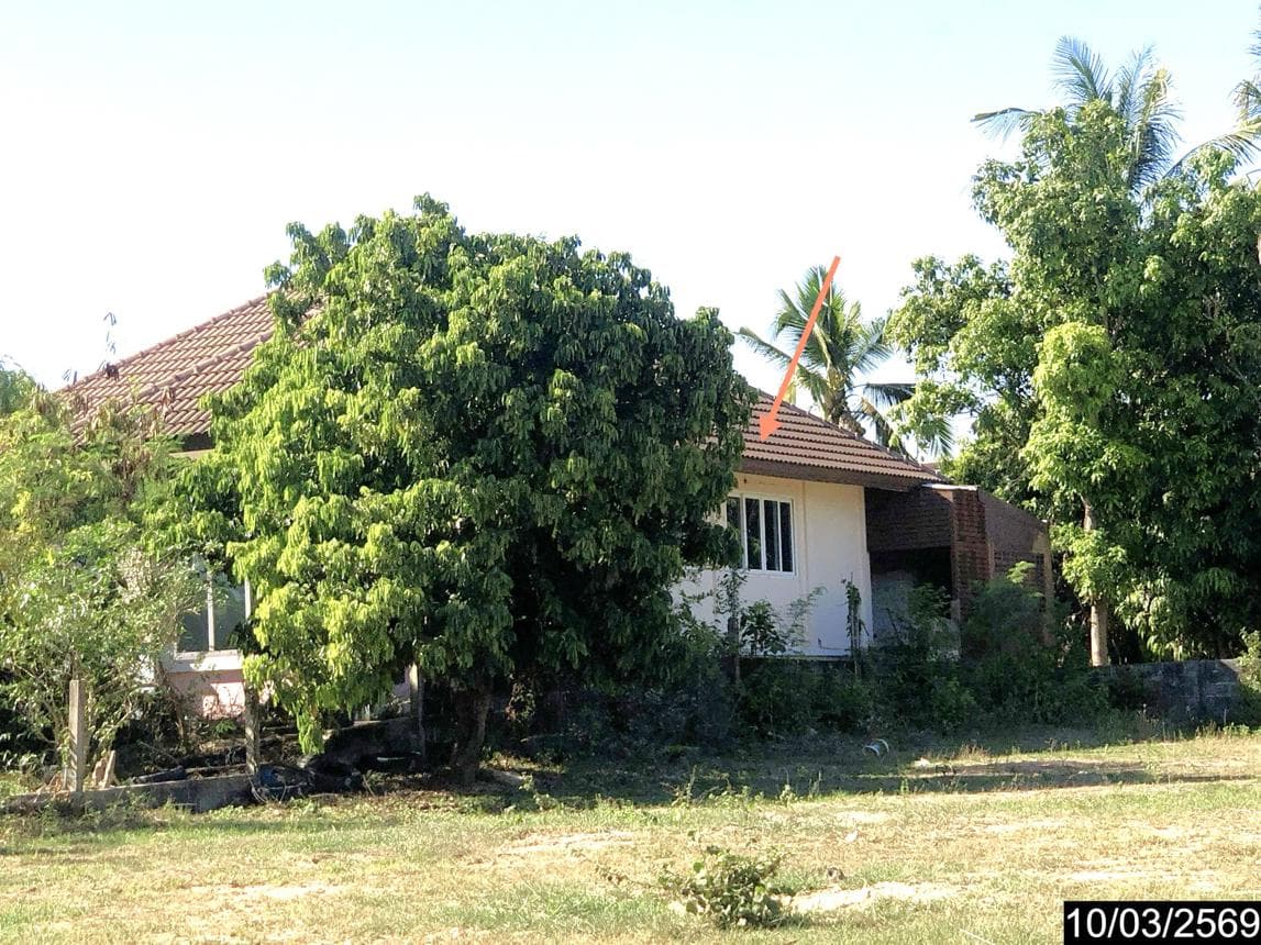 บ้านเดี่ยว บุ่งหวาย วารินชำราบ อุบลราชธานี 3 ห้องนอน 3 ห้องน้ำ พื้นที่กว้าง 277.85 ตร.ม. บนเนื้อที่ 79.1 ตร.ว.