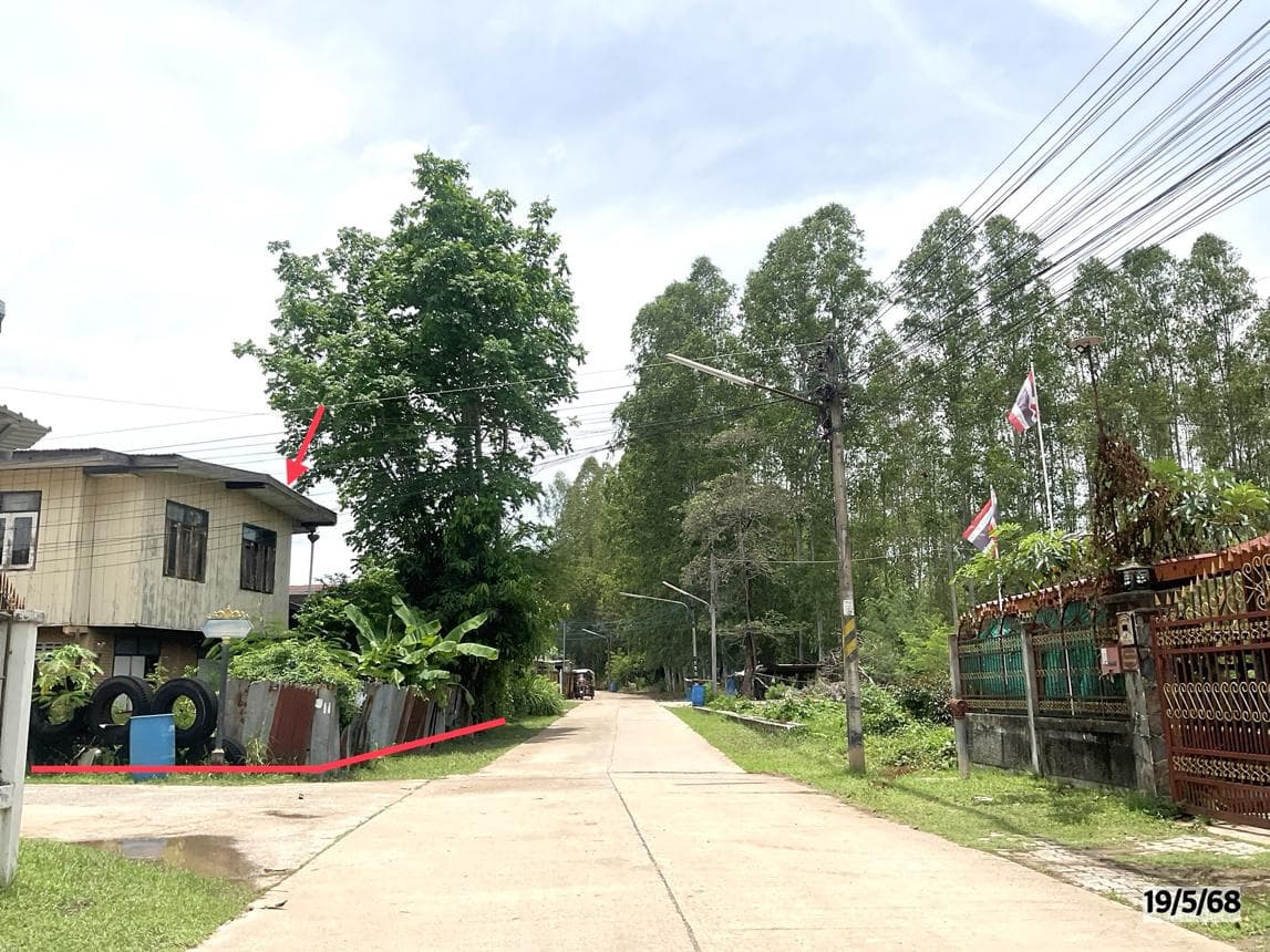 ขายบ้านเดี่ยว ชุมแพ ขอนแก่น ทำเลหนองไผ่ เนื้อที่ 9 ตร.ว. พื้นที่ใช้สอย 242 ตร.ม. 3 ห้องนอน 1 ห้องน้ำ สภาพดี พร้อมอยู่