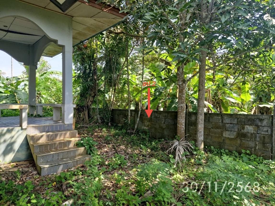 บ้านเดี่ยว 3 ห้องนอน พื้นที่ 158 ตร.ม. ทำเลศักยภาพ ชะมาย ทุ่งสง นครศรีธรรมราช