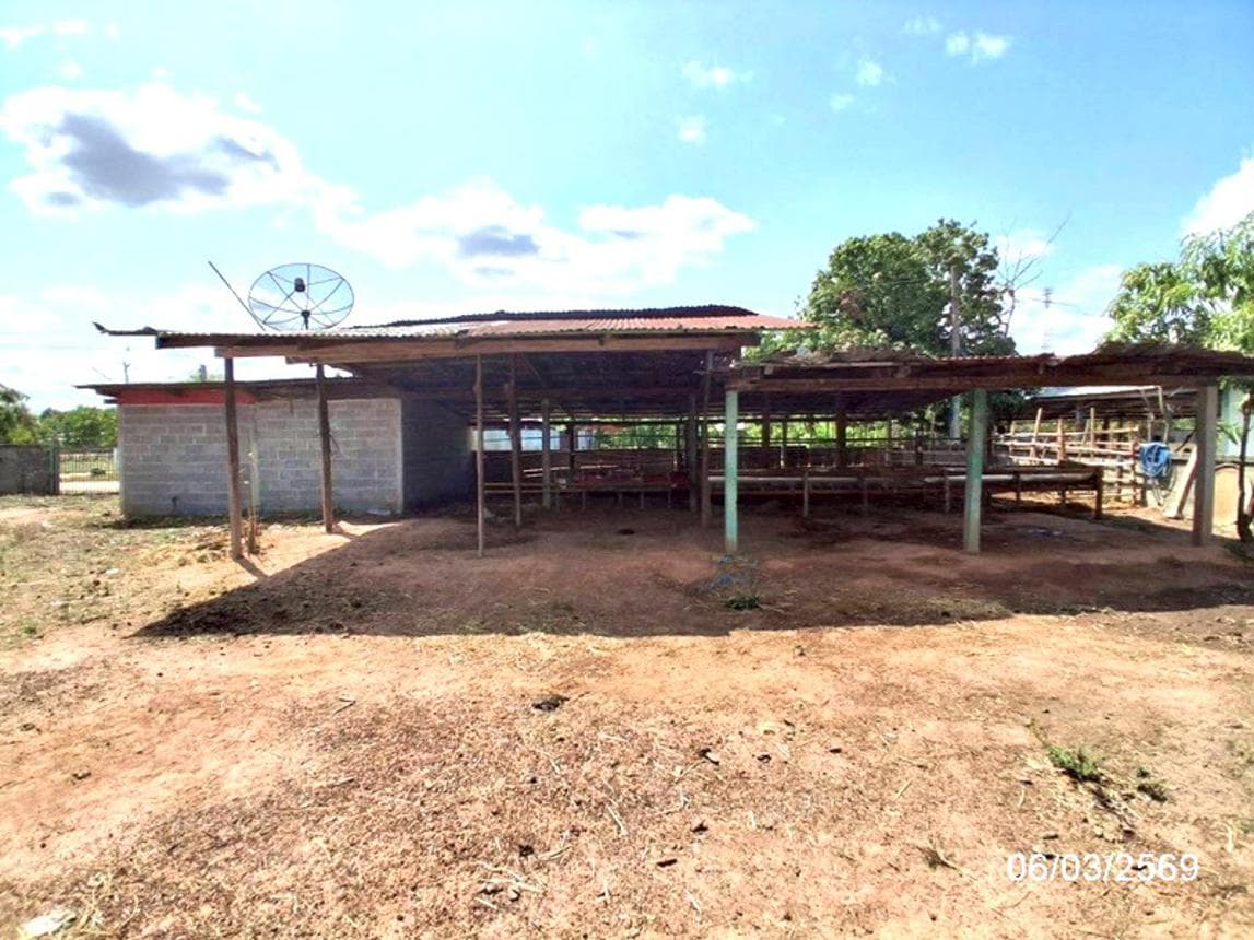 บ้านเดี่ยวหลังใหญ่ 3 ห้องนอน 2 ห้องน้ำ พื้นที่ 217 ตร.ม. บนเนื้อที่ 78.7 ตร.ว. ทำเลดี รอบเมือง หนองพอก จ.ร้อยเอ็ด