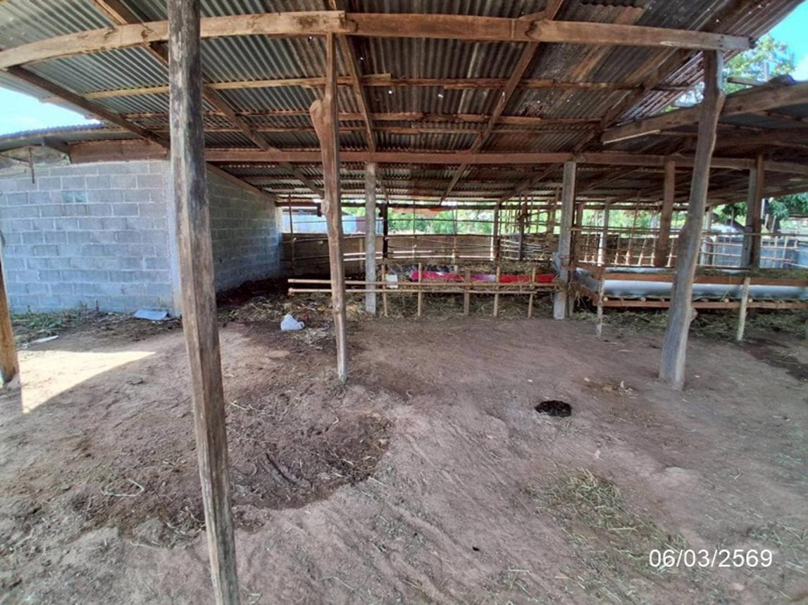 บ้านเดี่ยวหลังใหญ่ 3 ห้องนอน 2 ห้องน้ำ พื้นที่ 217 ตร.ม. บนเนื้อที่ 78.7 ตร.ว. ทำเลดี รอบเมือง หนองพอก จ.ร้อยเอ็ด