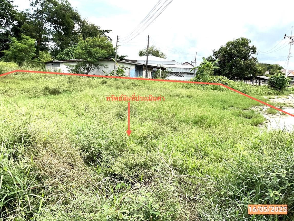 ที่ดินเปล่า สิชล สิชล นครศรีธรรมราช เนื้อที่ 42.1 ไร่