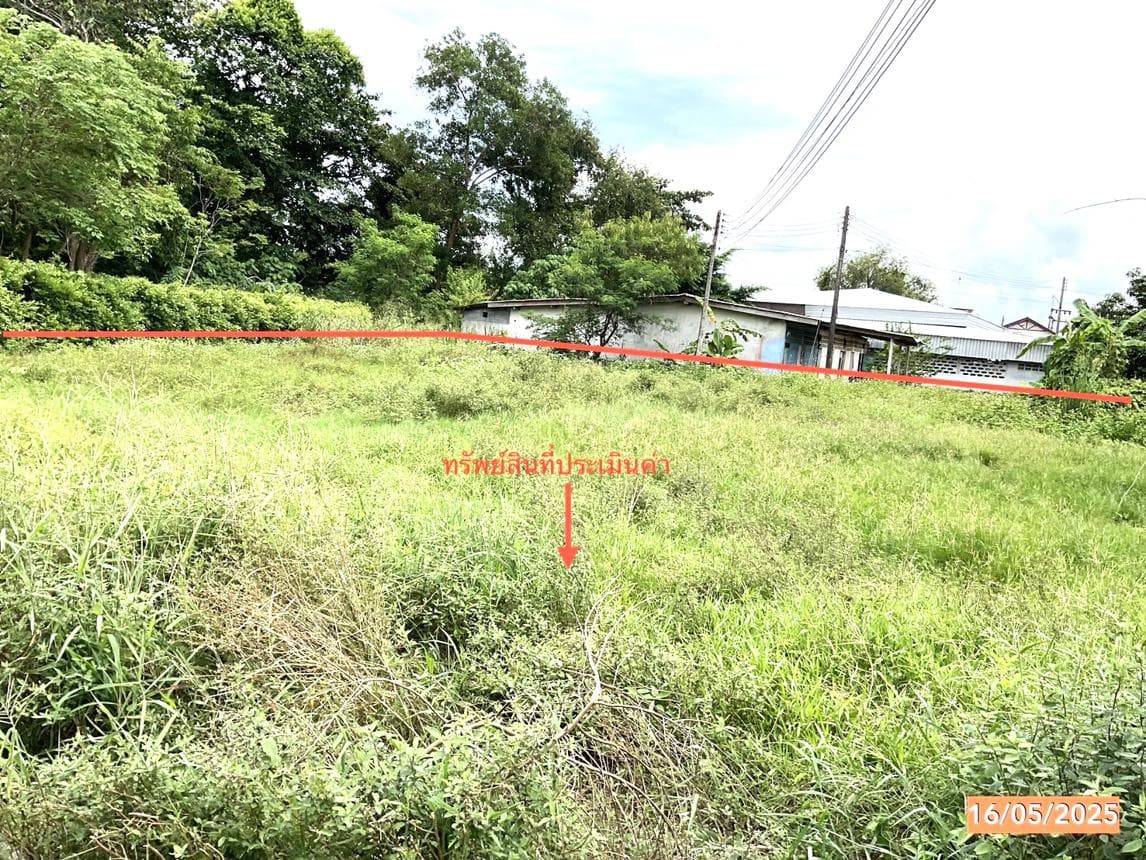 ที่ดินเปล่า สิชล สิชล นครศรีธรรมราช เนื้อที่ 42.1 ไร่