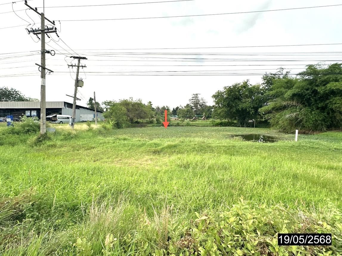 ขายที่ดินเปล่า สีแก้ว เมืองร้อยเอ็ด ร้อยเอ็ด เนื้อที่ 91 ตร.ว.