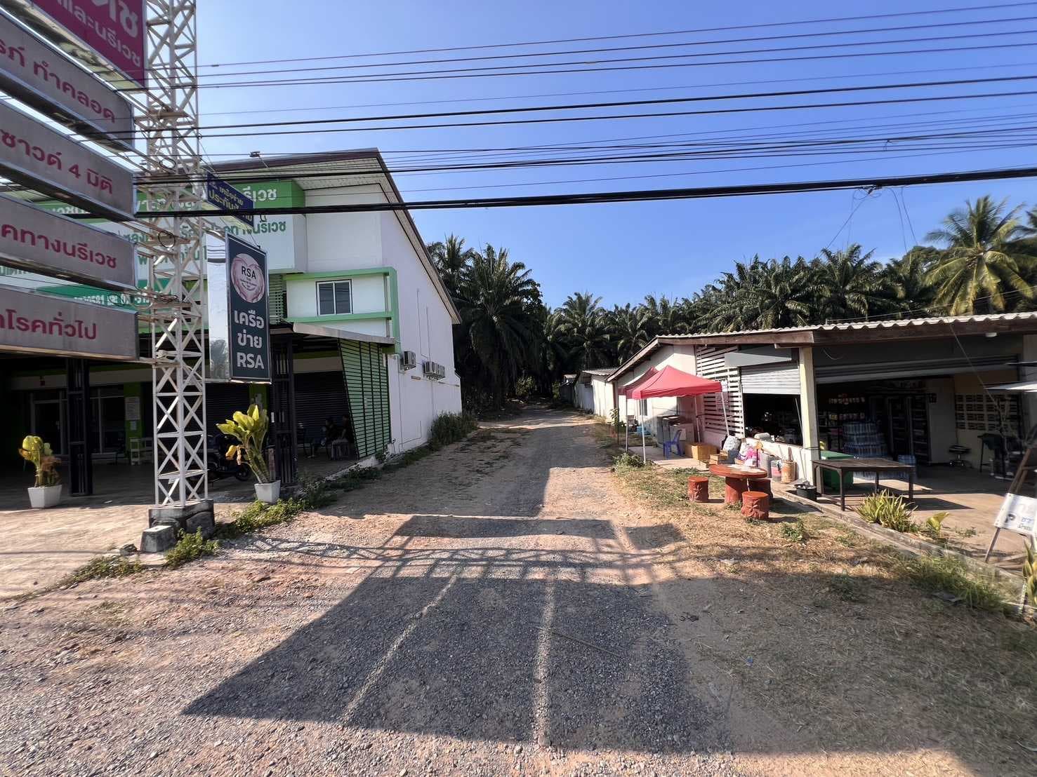 ที่ดินสวนปาล์ม ถนนสายหลักสุราษฎร์-นครศรีธรรมราช