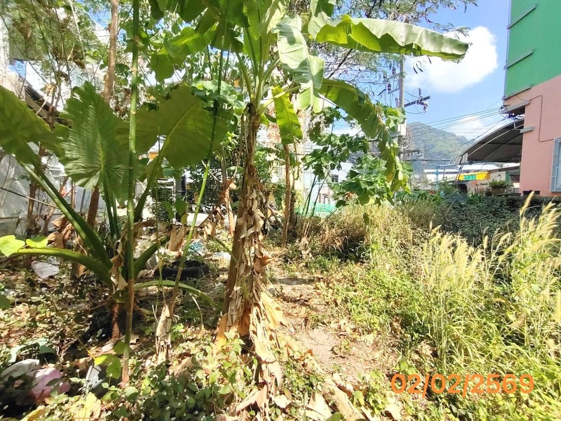 ที่ดินว่างเปล่าทำเลทอง ป่าตอง กะทู้ ภูเก็ต พื้นที่ 74 ตร.ว. ศักยภาพสูงสำหรับการลงทุน