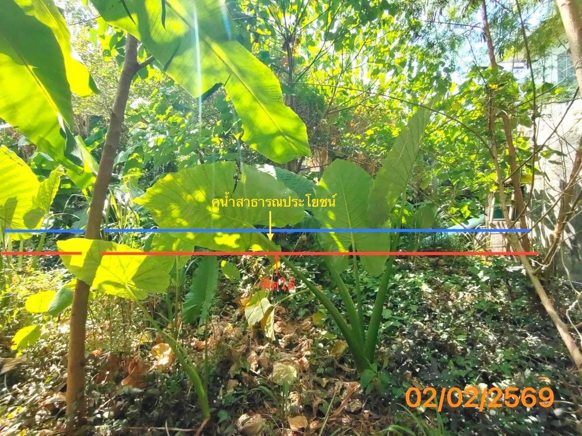 ที่ดินว่างเปล่าทำเลทอง ป่าตอง กะทู้ ภูเก็ต พื้นที่ 74 ตร.ว. ศักยภาพสูงสำหรับการลงทุน