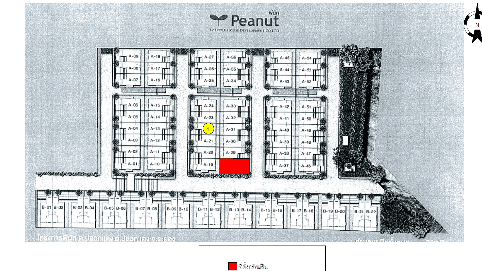 ทาวน์เฮ้าส์ พีนัท (Peanut) ปลวกแดง-ระยอง