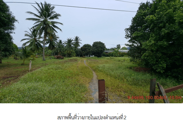 ที่ดินว่างเปล่า เกาะสมุย สุราษฎร์ธานี