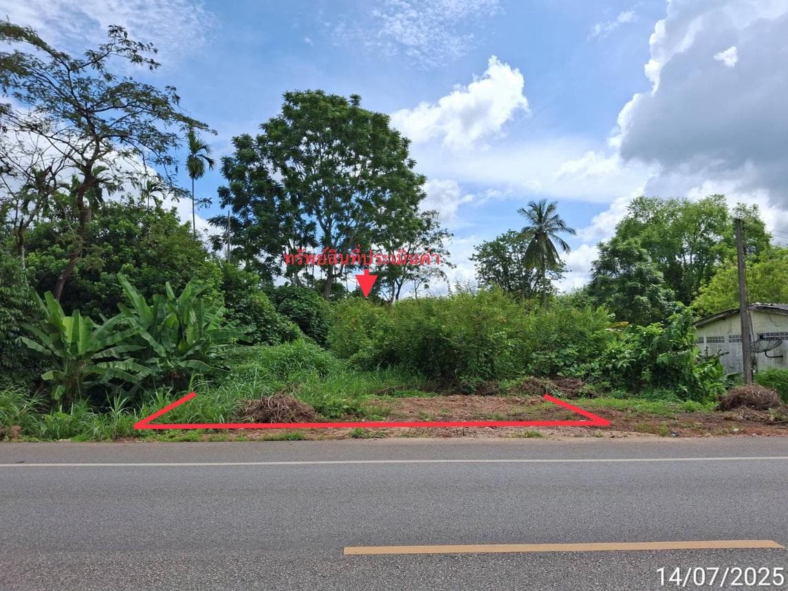 ขายที่ดินทำเลสวย ท่าพญา ปะเหลียน ตรัง เนื้อที่ 85.9 ตร.ว. สร้างบ้านพักตากอากาศสุดชิล