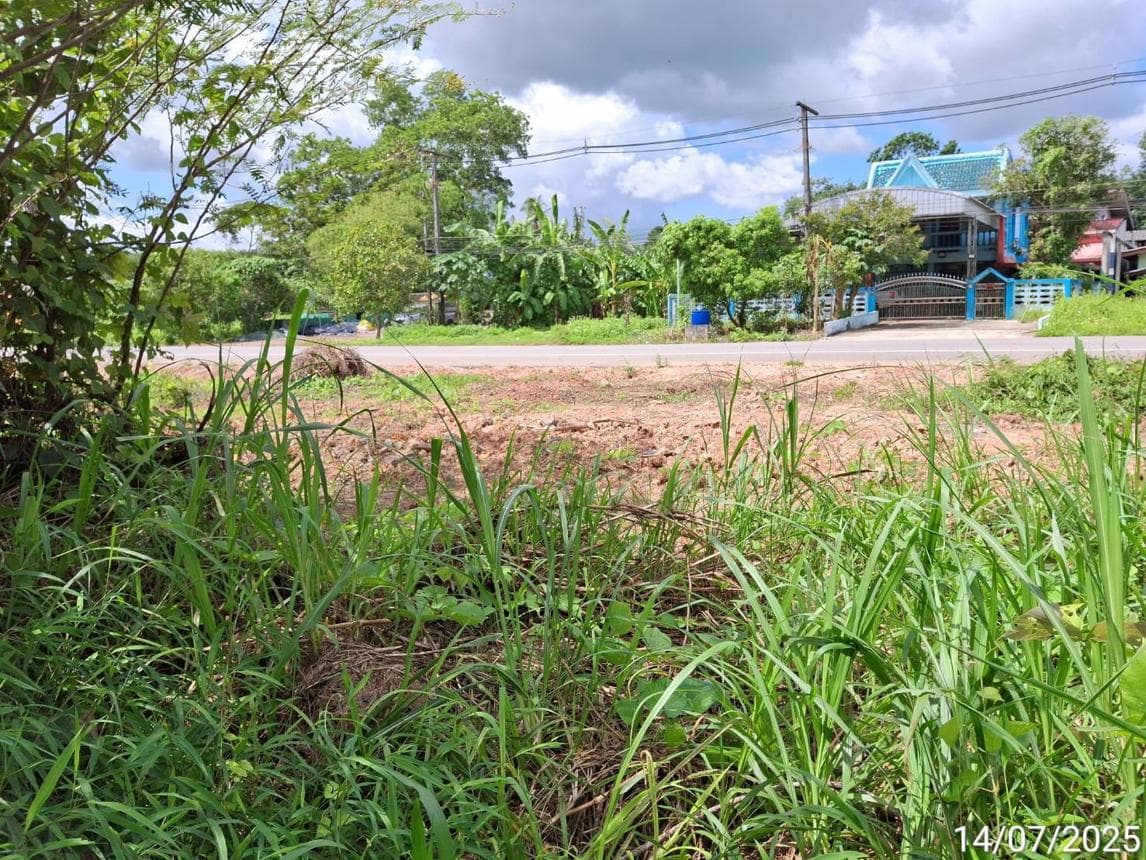 ขายที่ดินทำเลสวย ท่าพญา ปะเหลียน ตรัง เนื้อที่ 85.9 ตร.ว. สร้างบ้านพักตากอากาศสุดชิล