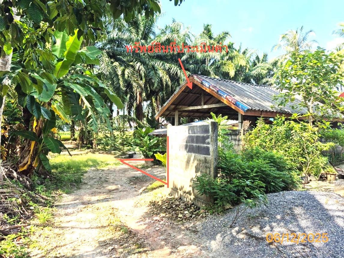 บ้านเดี่ยว ทุ่งใส สิชล นครศรีธรรมราช 1 ห้องนอน 133 ตร.ม. บนที่ดิน 52 ตร.ว. ทำเลสงบ ใกล้แหล่งท่องเที่ยว ราคาล้านต้นๆ