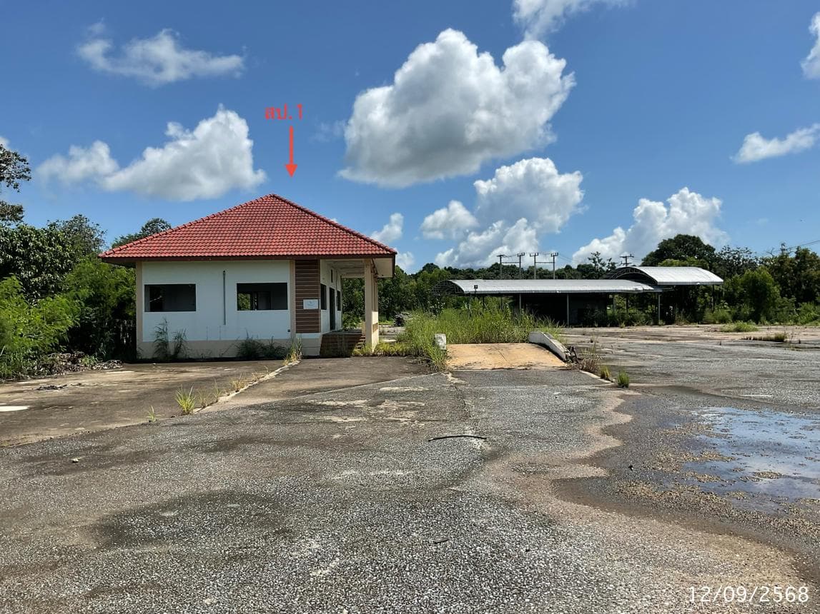 ขายโกดังและคลังสินค้า พื้นที่ใช้สอย 336 ตร.ม. ทำเลศักยภาพ ดงแคนใหญ่ คำเขื่อนแก้ว ยโสธร