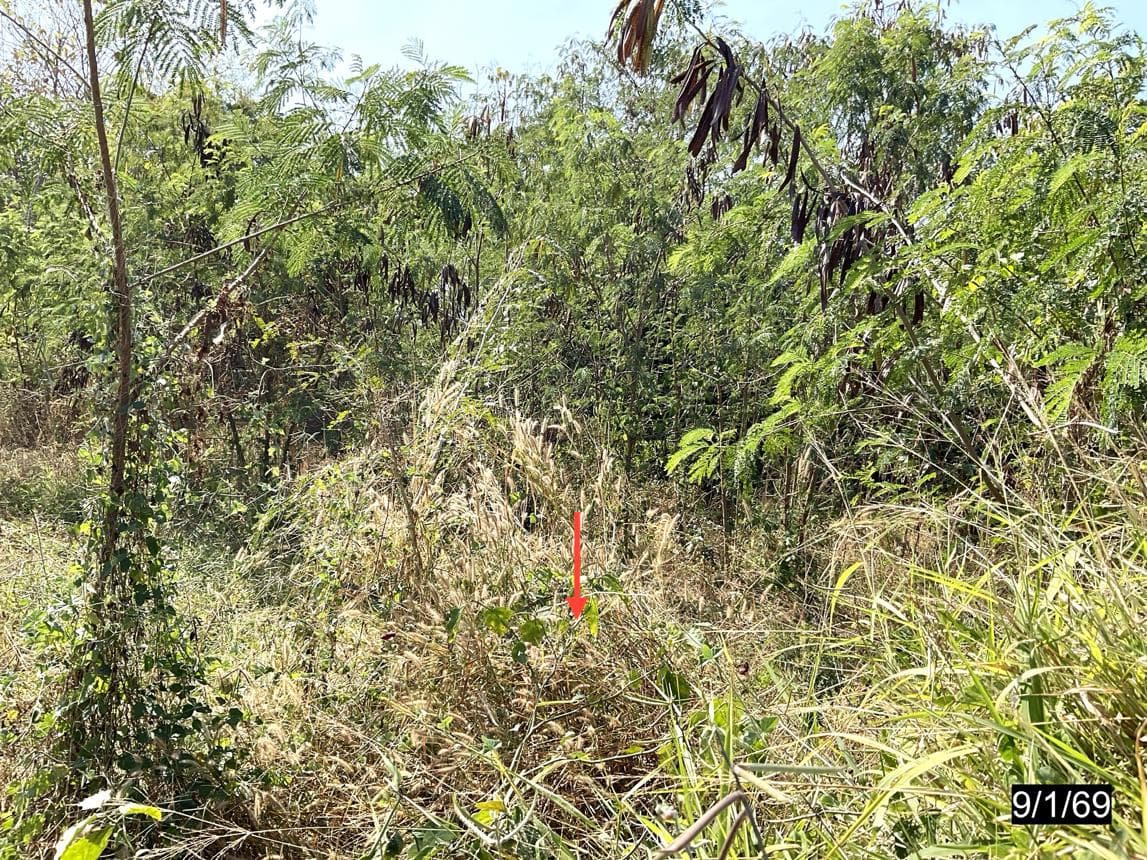 ที่ดินว่างเปล่า บ้านรุ้งเพชร หนองไผ่ ชุมแพ ขอนแก่น เนื้อที่ 76 ตร.ว. ทำเลดีเดินทางสะดวก ใกล้แหล่งชุมชน ราคาพิเศษ 3.03 ล้าน