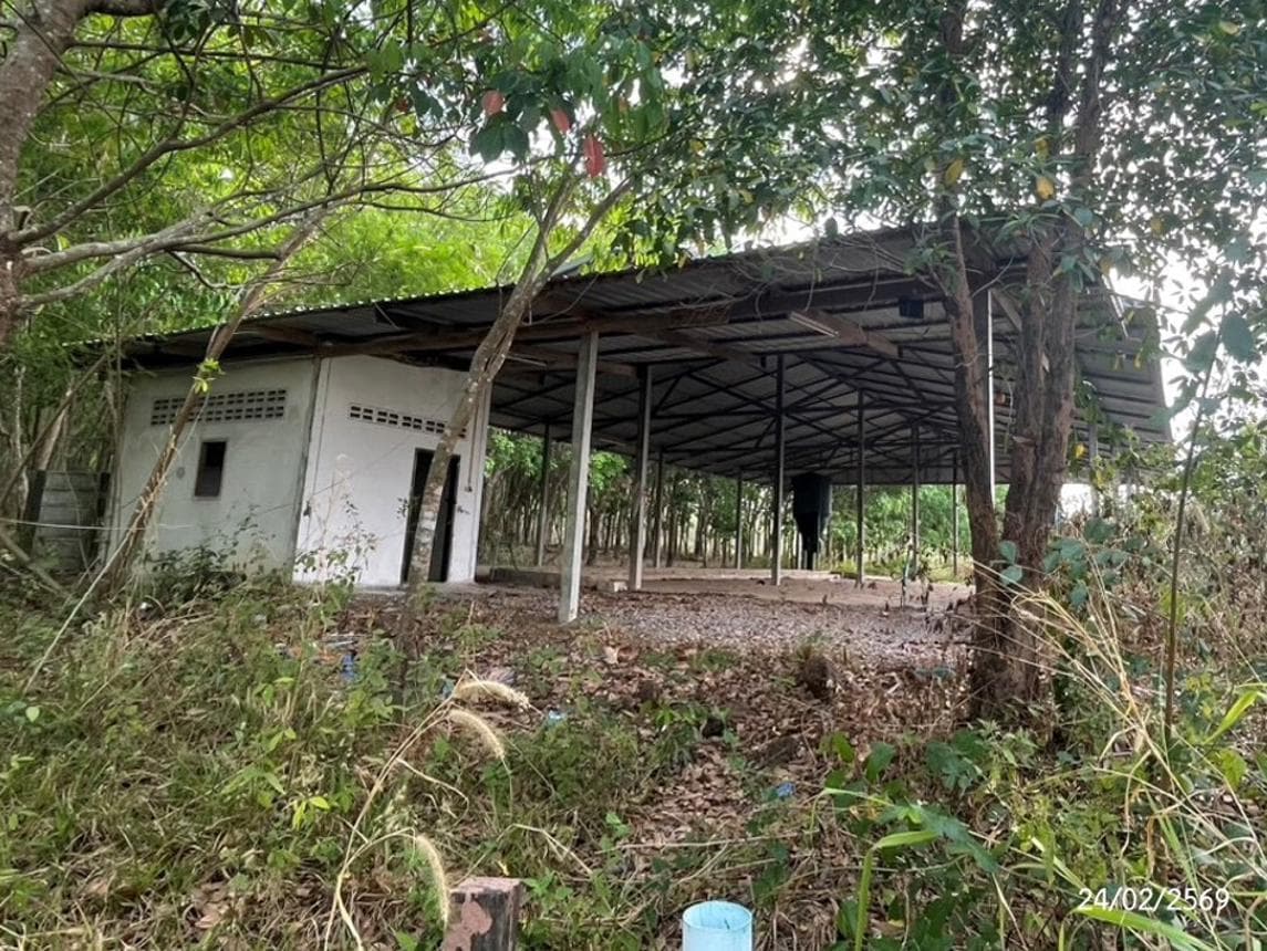 ขายอาคารอเนกประสงค์/โกดังขนาดใหญ่ พื้นที่ใช้สอย 288 ตร.ม. ทำเลศักยภาพ พันนา สว่างแดนดิน สกลนคร เหมาะสำหรับธุรกิจและคลังสินค้า