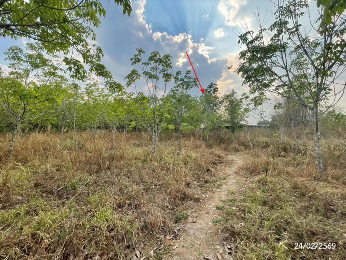 ขายอาคารอเนกประสงค์/โกดังขนาดใหญ่ พื้นที่ใช้สอย 288 ตร.ม. ทำเลศักยภาพ พันนา สว่างแดนดิน สกลนคร เหมาะสำหรับธุรกิจและคลังสินค้า