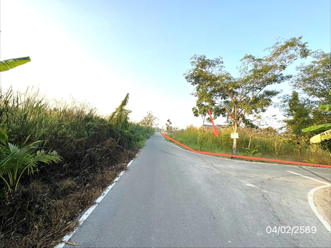 ที่ดินว่างเปล่า คลองตัน บ้านแพ้ว สมุทรสาคร ทำเลดี บรรยากาศเป็นธรรมชาติ เหมาะสำหรับทำการเกษตรหรือสร้างที่อยู่อาศัย