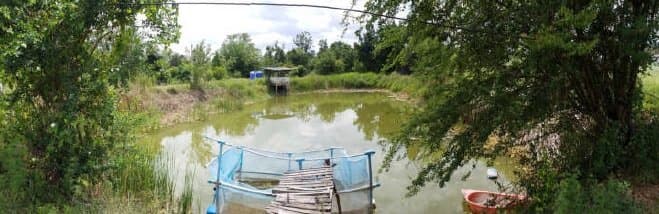 บ้านพร้อมกิจการ ดอนแร่ ราชบุรี