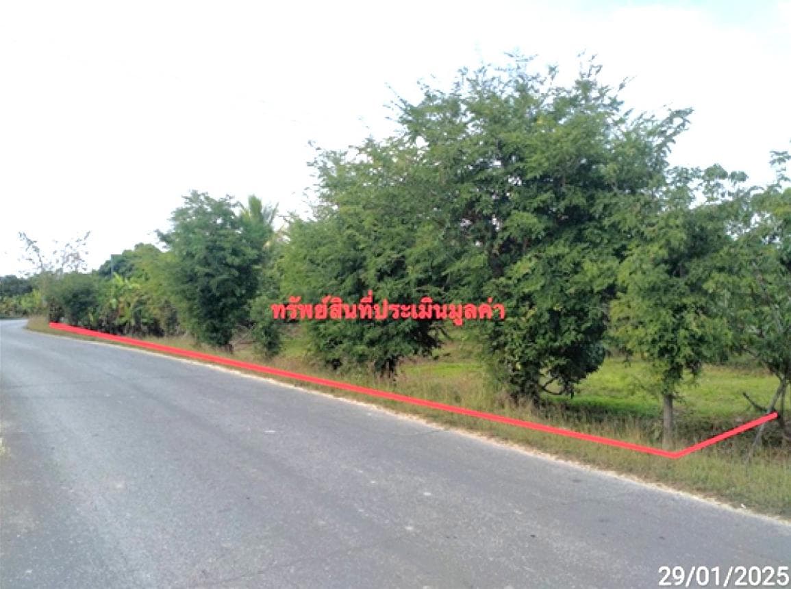 ที่ดินว่างเปล่าทำเลสวย สันป่าตอง เชียงใหม่ 56 ตร.ว. เหมาะสร้างบ้านพักอาศัย บรรยากาศร่มรื่น