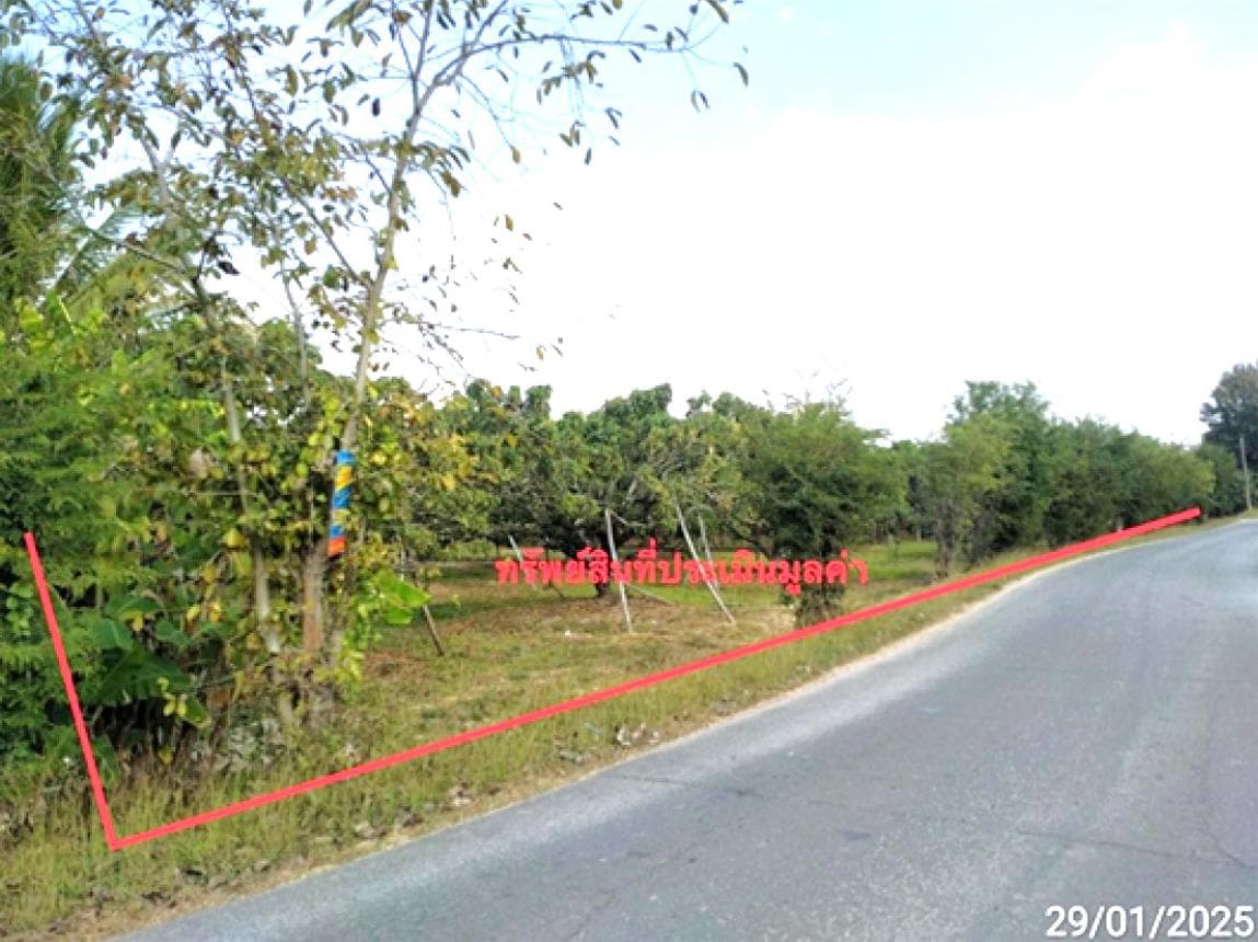 ที่ดินว่างเปล่าทำเลสวย สันป่าตอง เชียงใหม่ 56 ตร.ว. เหมาะสร้างบ้านพักอาศัย บรรยากาศร่มรื่น