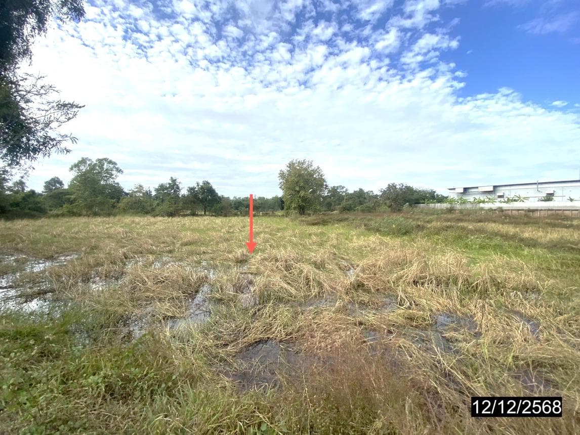 ขายที่ดินเปล่า เมืองขอนแก่น ทำเลท่าพระ เนื้อที่กว้าง 88 ไร่ ราคาพิเศษ เหมาะสำหรับเกษตรกรรมเชิงพาณิชย์และโครงการพัฒนาที่ดิน