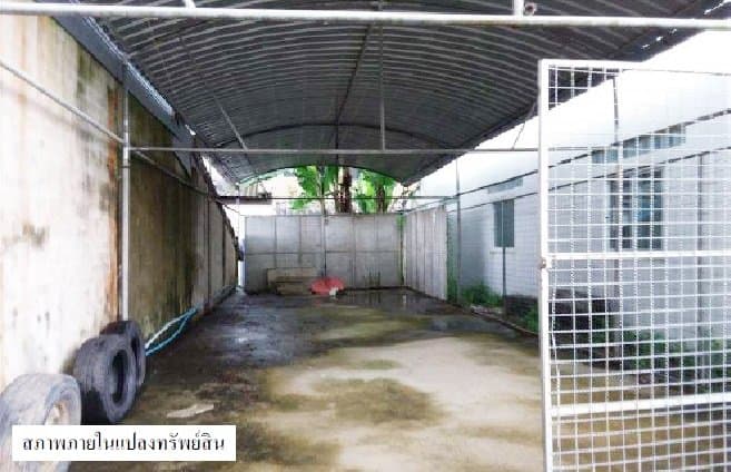 ที่ดินว่างเปล่า นาทวี-สงขลา
