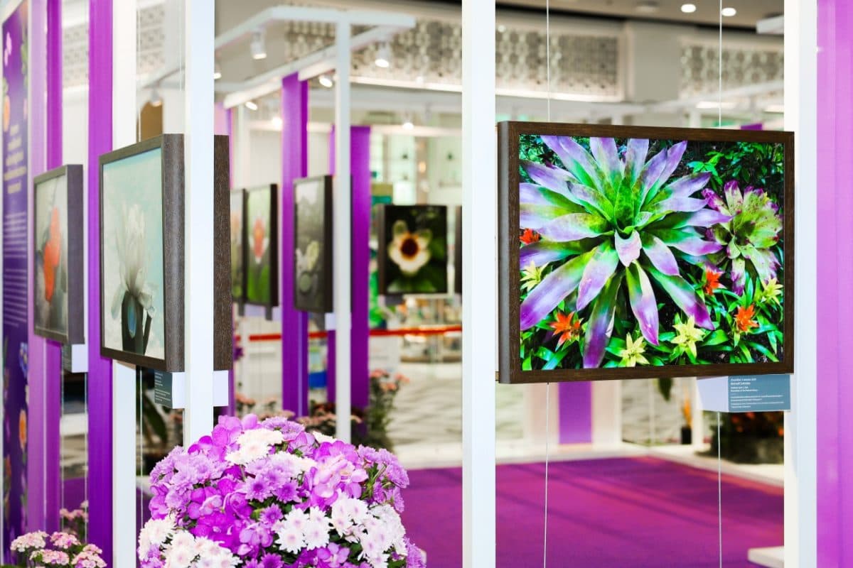 นิทรรศการ “รัตนแห่งจุฬาฯ” เฉลิมพระเกียรติ สมเด็จพระกนิษฐาธิราชเจ้า กรมสมเด็จพระเทพรัตนราชสุดา ฯ สยามบรมราชกุมารี ในโอกาสทรงเจริญพระชนมายุ 70 พรรษา เปิดโลกการเรียนรู้ไม่สิ้นสุด ผ่านพรรณไม้ไทยหายากและทรงคุณค่า