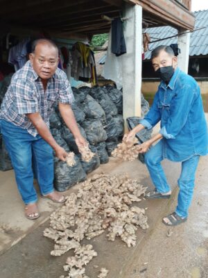 “แสนสิริ” พลิก Sansiri Backyard เป็นตลาดขายผลผลิตจากเกษตรกรไทยทั่วประเทศ  หวังช่วยสร้างรายได้ให้เกษตรกร ที่ประสบปัญหาสินค้าราคาตกต่ำ ยืนหยัดได้อีกครั้ง  ไฮไลท์! ขายในงานได้เท่าไร แสนสิริ ช่วยสมทบทุนเพิ่มอีก 4 เท่า! รับซื้อผลผลิตเพิ่ม  นำร่องด้วยตลาดขิง 16 – 18 ก.ย. นี้
