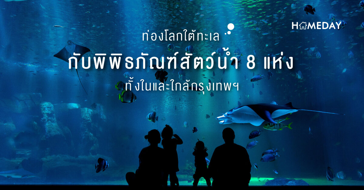 ท่องโลกใต้ทะเลกับพิพิธภัณฑ์สัตว์น้ำ 8 แห่งทั้งในและใกล้กรุงเทพฯ 03