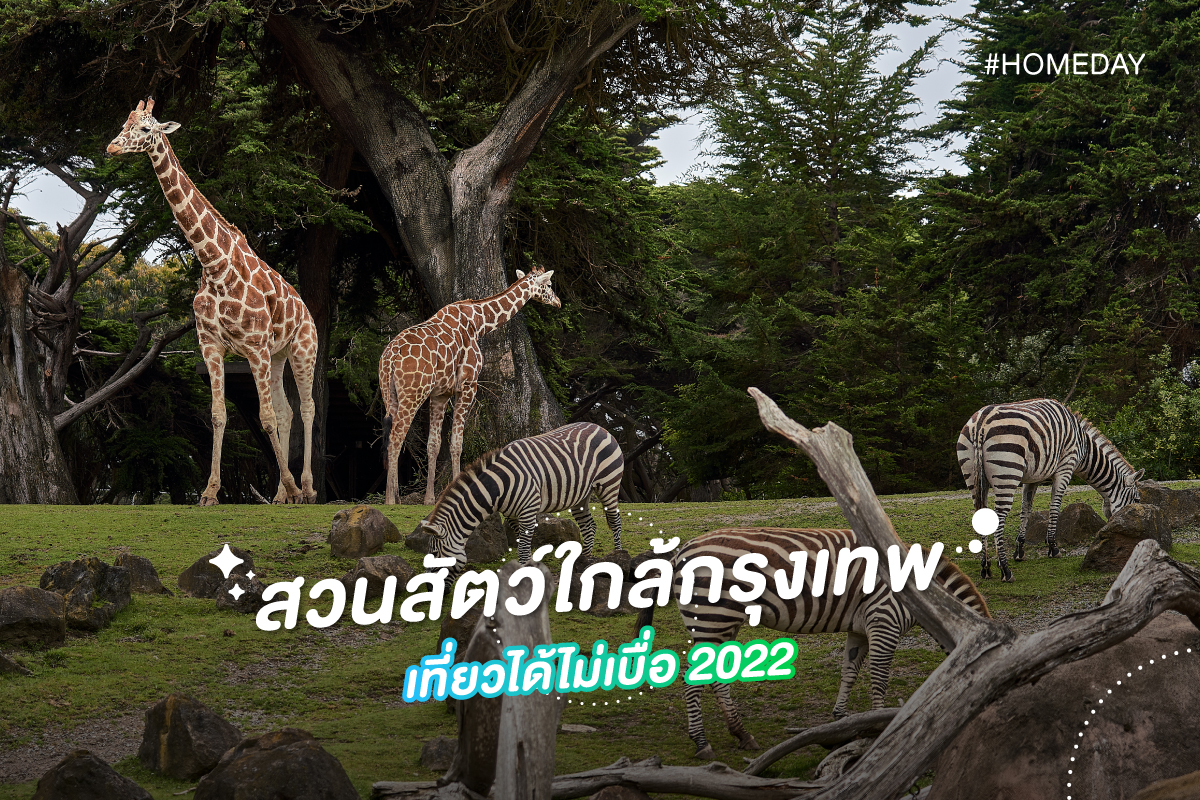 สวนสัตว์ใกล้กรุงเทพ เที่ยวได้ไม่เบื่อ 2022 01