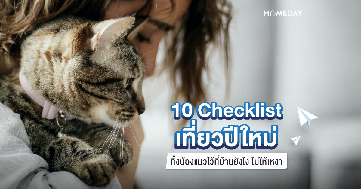 10 Checklist เที่ยวปีใหม่ ทิ้งน้องแมวไว้ที่บ้านยังไง ไม่ให้เหงา 00