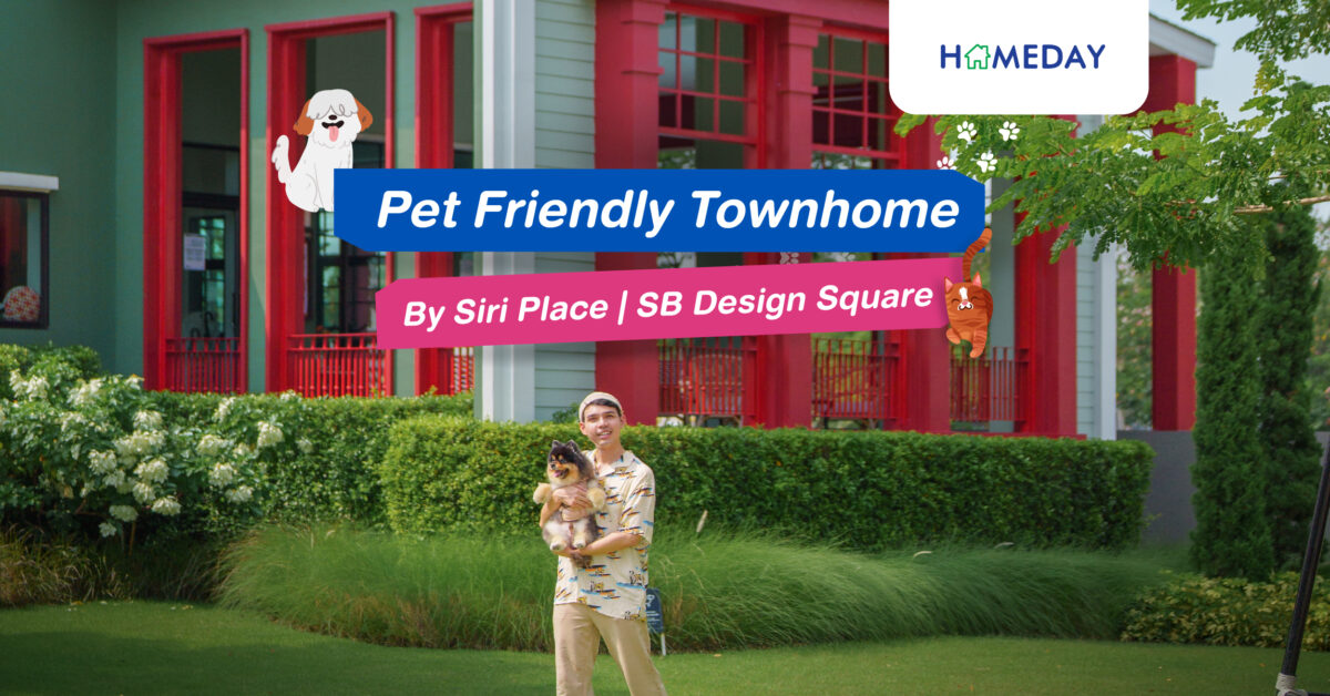 สิริเพลส รังสิต 2 ทาวน์โฮม Pet Friendly แต่งครบ พร้อมชุดเฟอร์นิเจอร์ Sb Furniture แบบ Fur Fulfilled ถูกใจโฮ่งเหมียวแน่นอน!